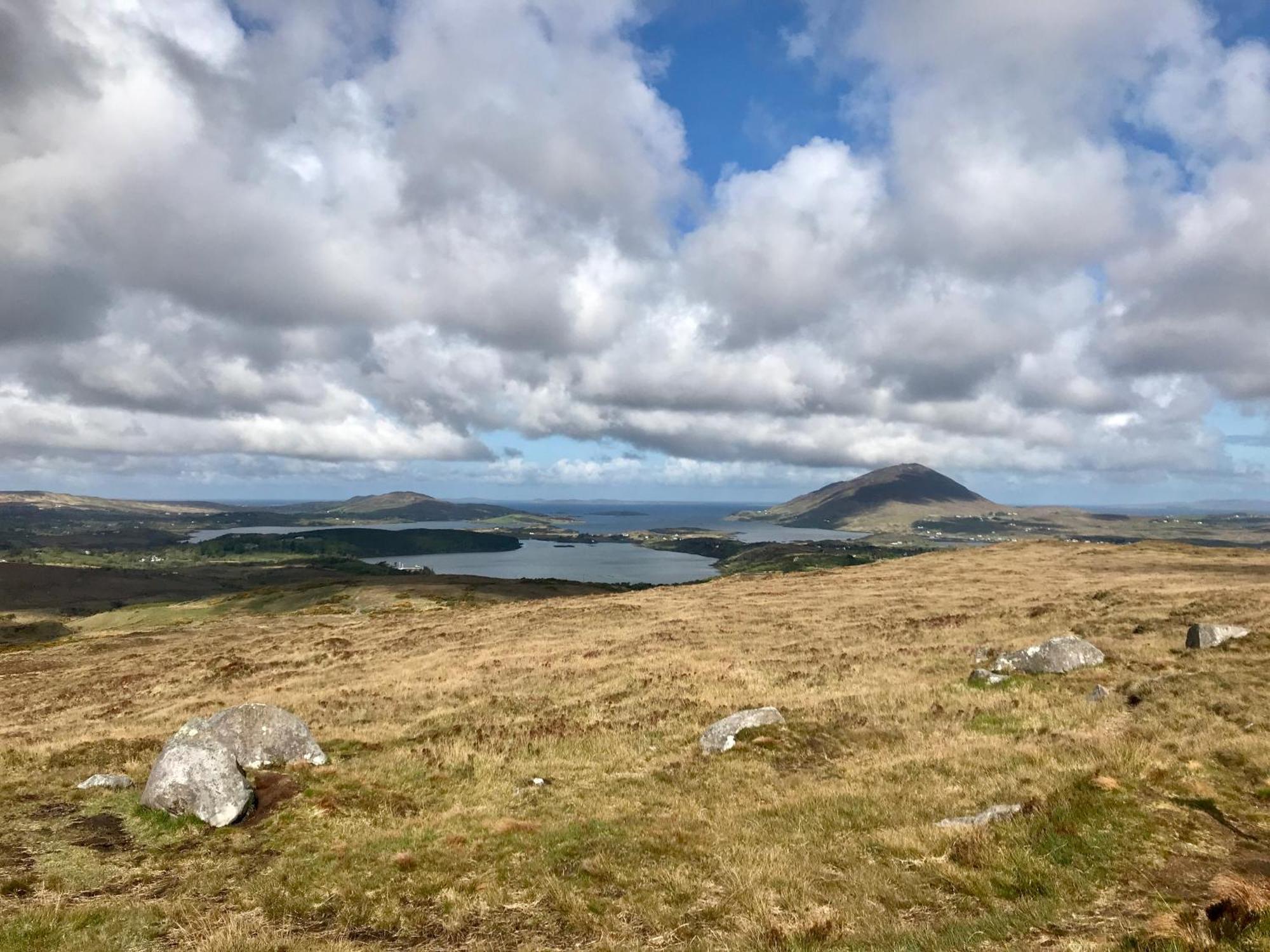 Red Deer Cosy Apartment In Letterfrack Connemara Εξωτερικό φωτογραφία
