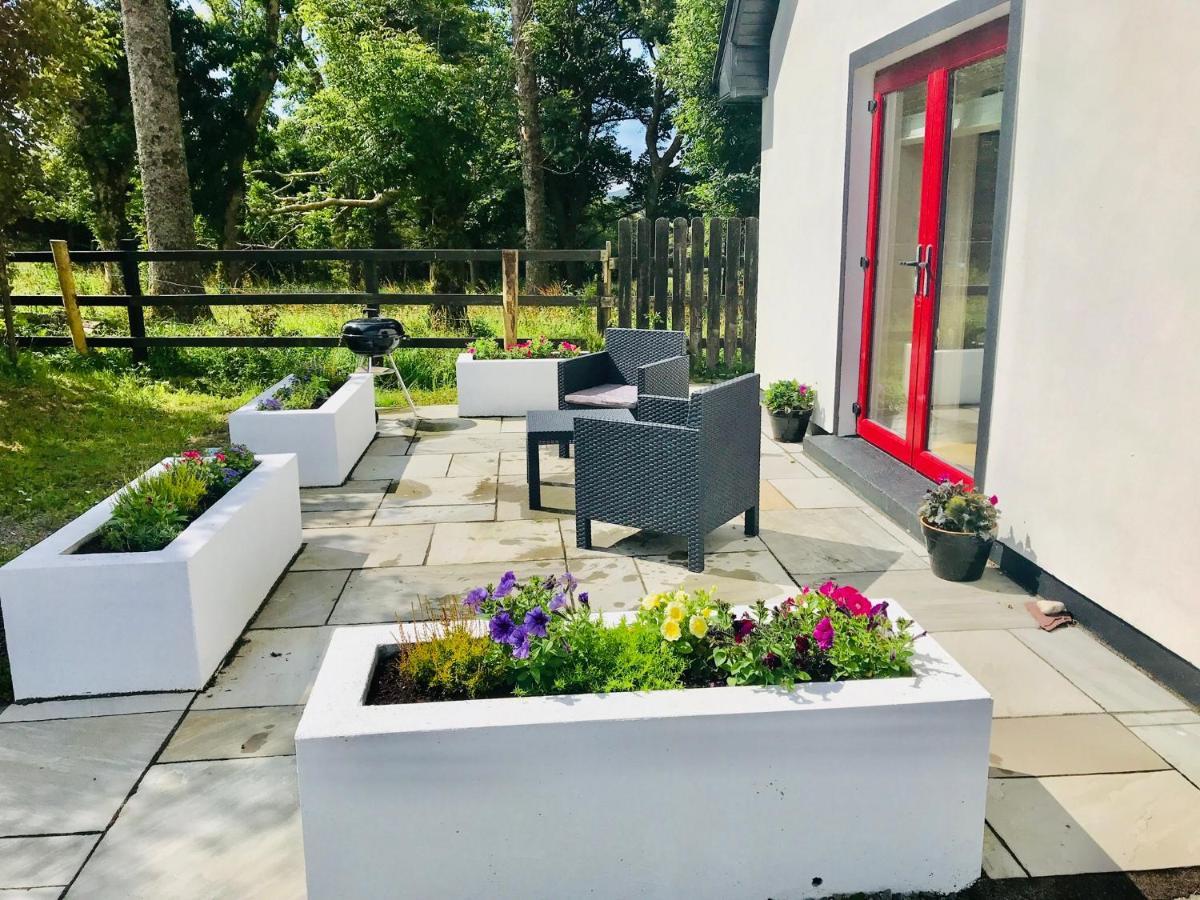 Red Deer Cosy Apartment In Letterfrack Connemara Εξωτερικό φωτογραφία